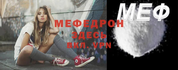 сатива Беломорск