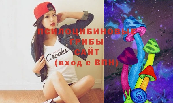 сатива Беломорск