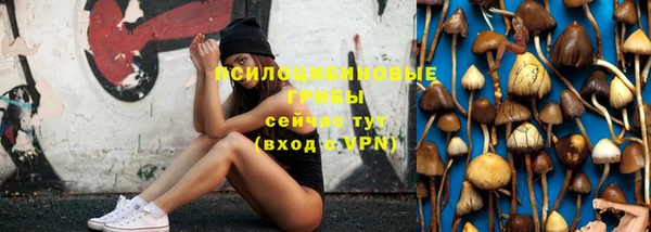 ешки Белокуриха