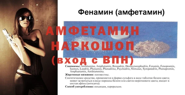 сатива Беломорск