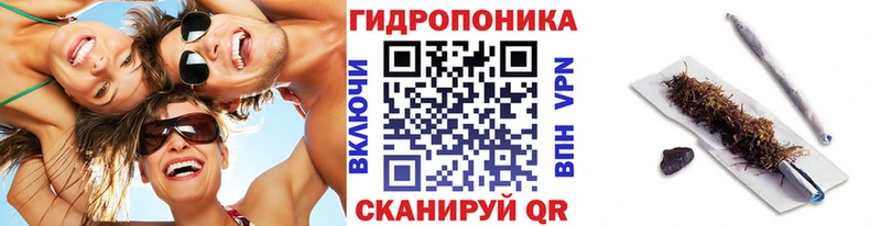 Канабис ГИДРОПОН  купить наркотик  Рудня 